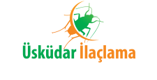 Üsküdar Böcek, Haşere, Kemirgen, Parazit İlaçlama